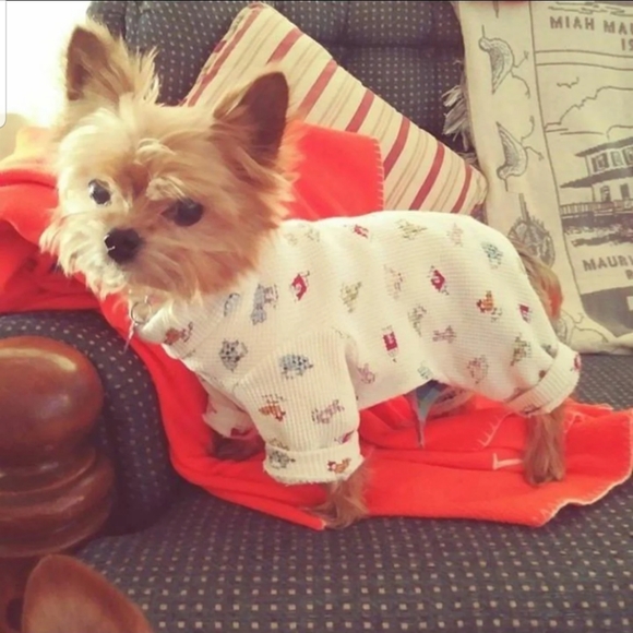 Dog Pj's handmade - Picture 3 of 3